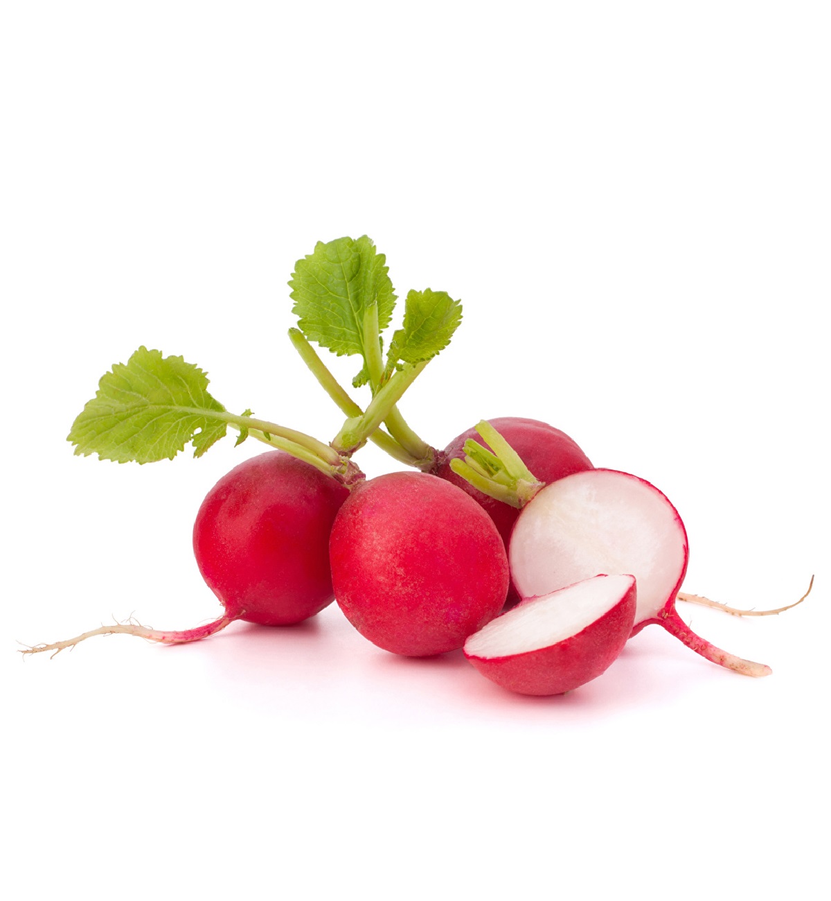 Оптовая продажа, натуральные свежие овощи без ГМО, отличный вкус, пищевой сорт, свежий редис из Узбекистана