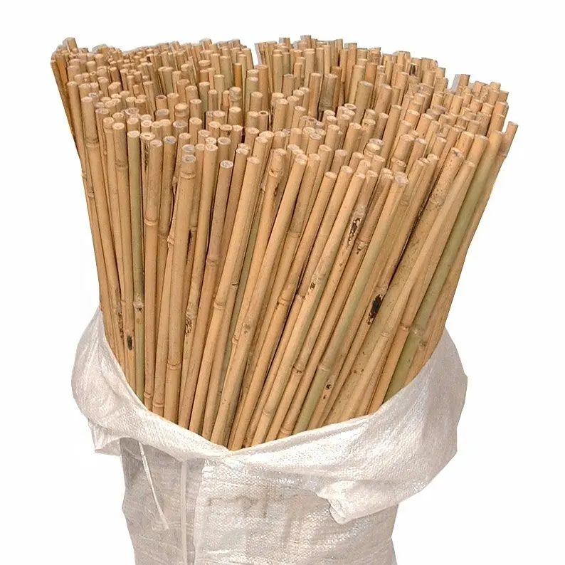 Iron Dry Bamboo Poles