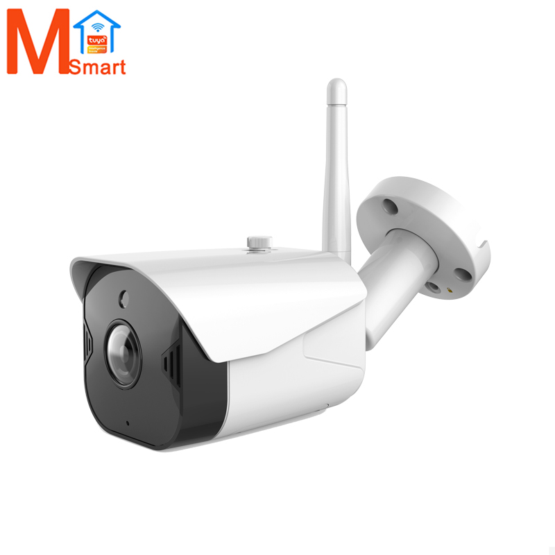 Умная IP-камера Lyailot, Wi-Fi цилиндрическая камера видеонаблюдения с Wi-Fi, Tuya 1080P, проводная камера видеонаблюдения для умного дома