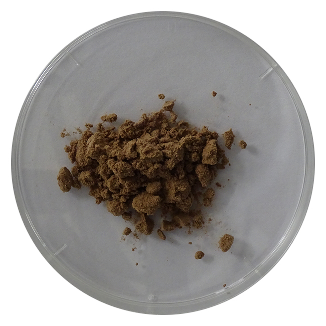 Anti-obesity and anti-diabetec fresh black ginger extract powder
