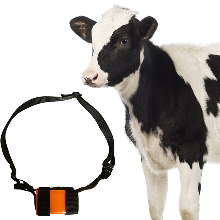 Super Quality 2G 3G 4G Chips Para Tracking Big Animal Gps Trakcers