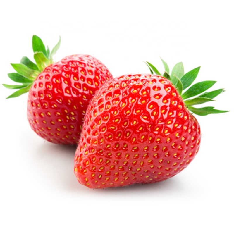 Canned Fresh Fruit Factory Price Canned Strawberry