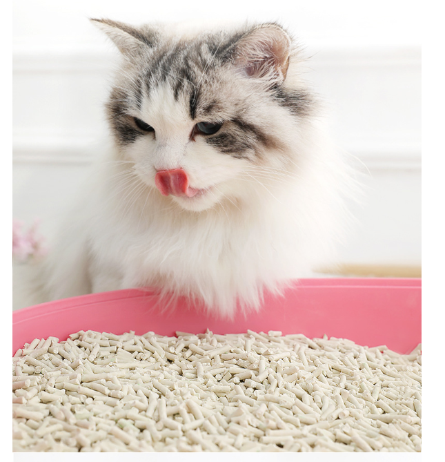 Manufacturer Wholesale 6L Plant Degradable Cat Litter 5 Flavors Tofu Cat Litter Cat Sand