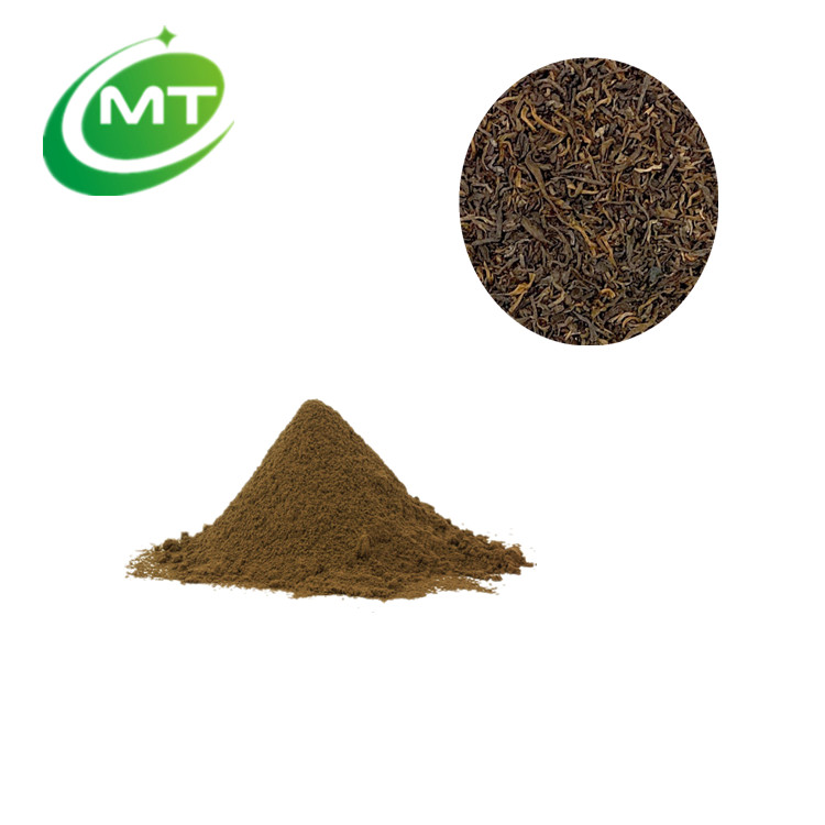 Factory Supply Free Sample Good Flavor 20% Polyphenols Instant Pu Erh Tea Extract Powder