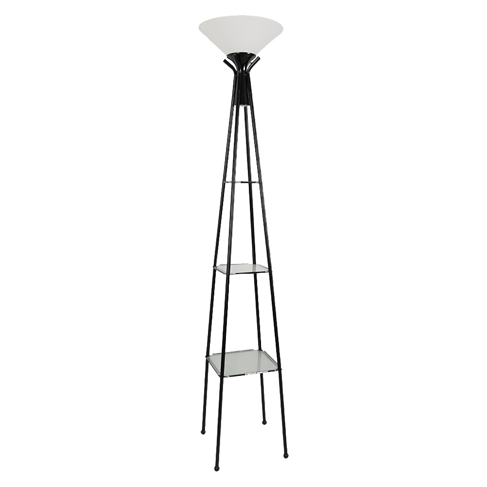 Matte Black Finish Steel and Glass 2 Lights Floor Lamp Standing Floor Lights for Bedroom Floor Light Fixtures Set
