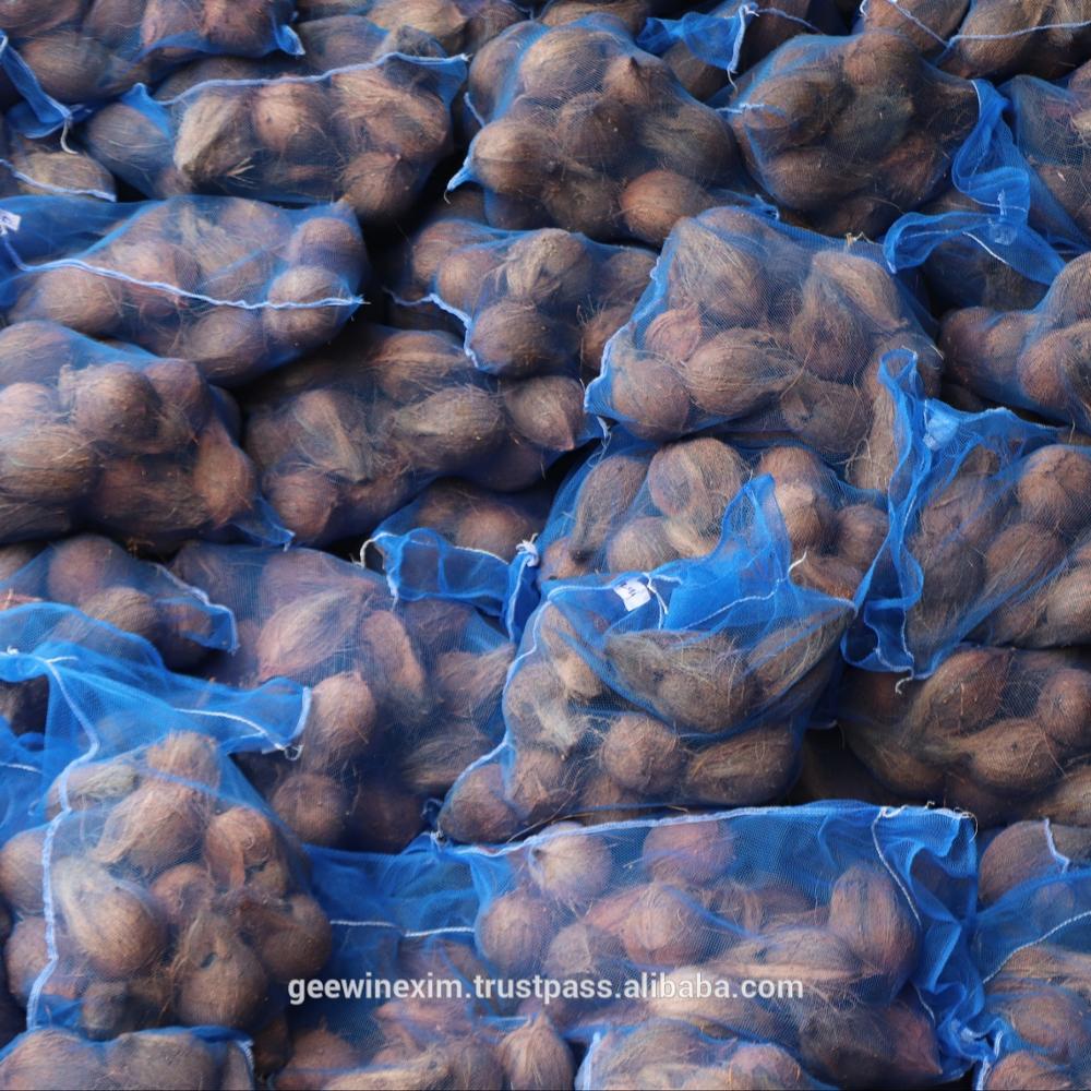 EXPORT SUPPLIERS OF FRESH SEMI HUSKED COCONUT
