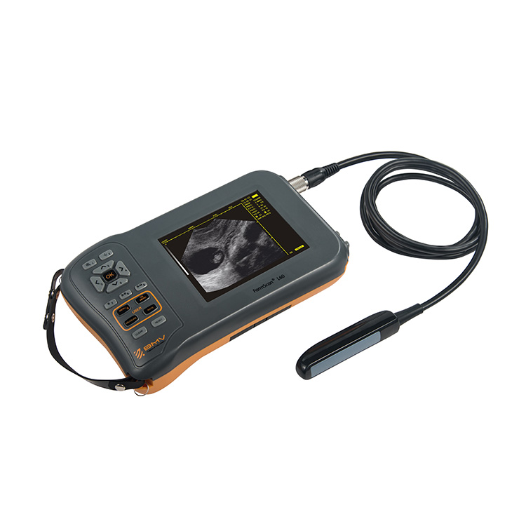 BMV Farmscan L60 Ручной портативный ультразвуковой сканер для крупного рогатого скота, эквина, Овечья свинья, ecografo, ветеринарный ультразвук