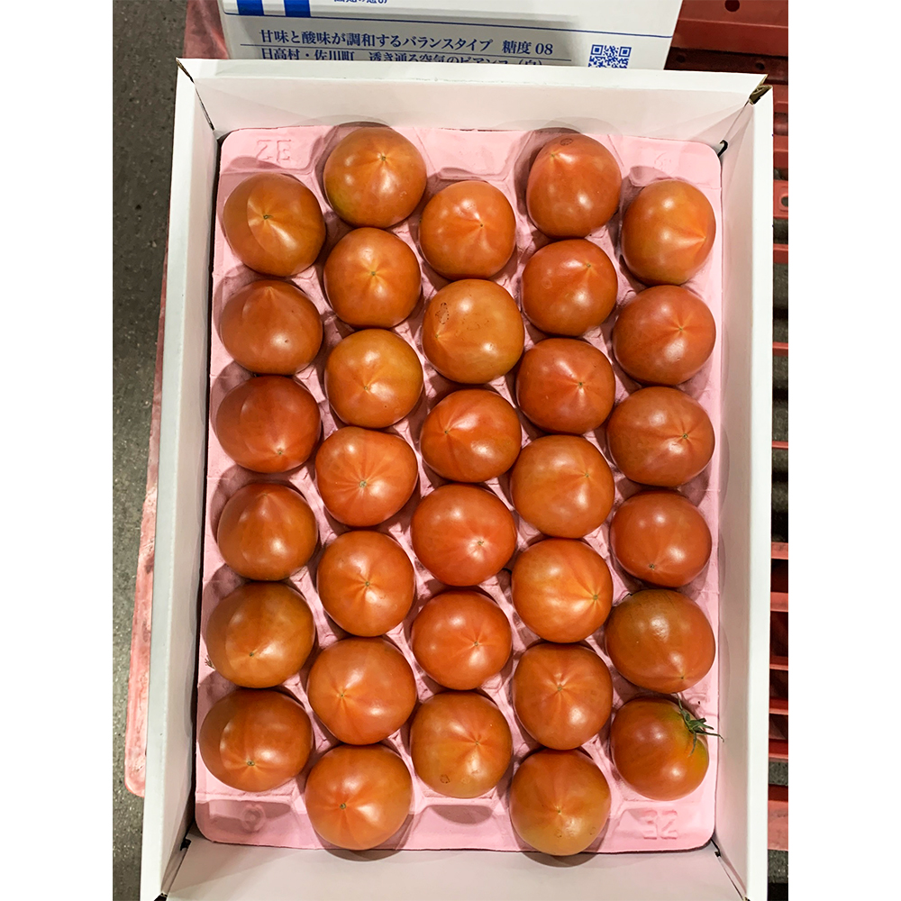 Вкусная оптовая продажа спецификация для свежих помидоров