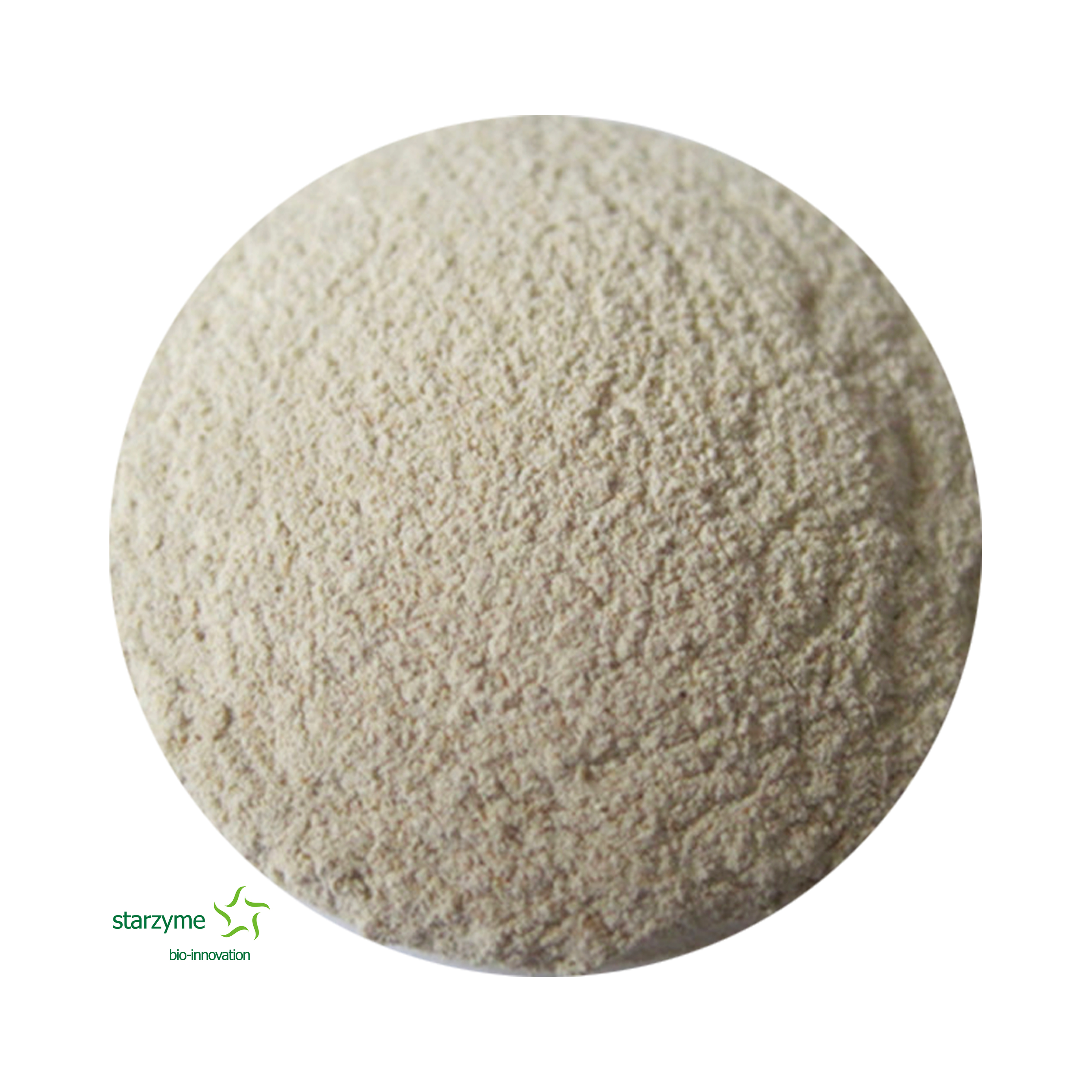 Xylanase Powder Enzyme For Feed Additives Supplier Factory
