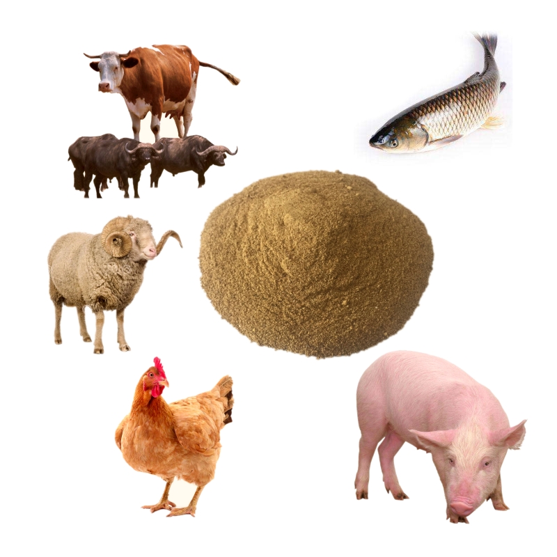 MSG Slag / Mycoprotein / Single Cell Protein