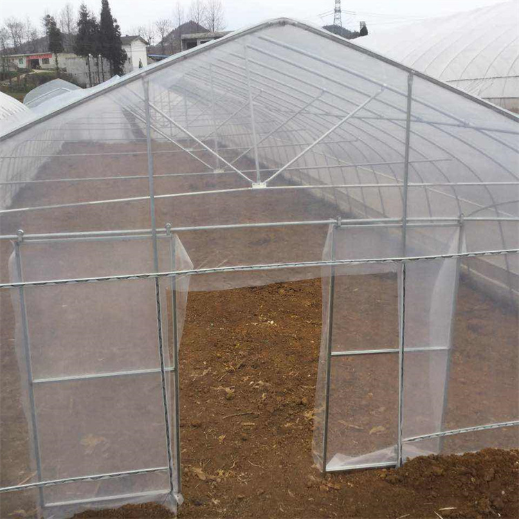 BAOLIDA serre gothique sur mesure agriculture planting plastic film greenhouse customized gothic greenhouse