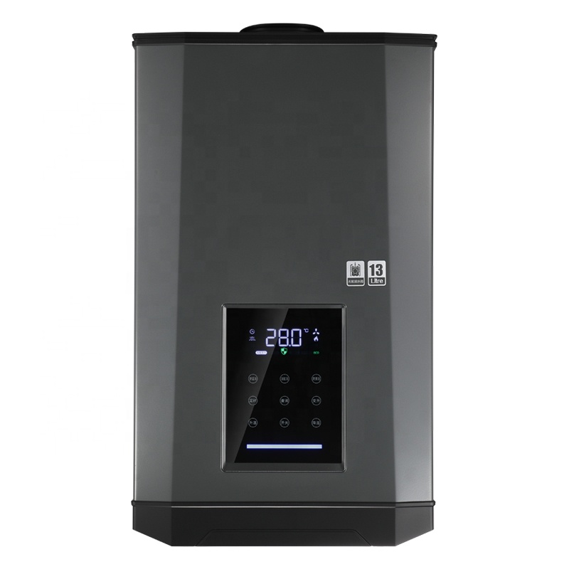 automatically water and gas self regulating Gas Water Heater 16L