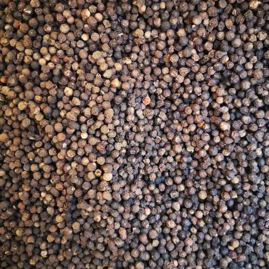 Single Spice Black Pepper Wholesale Food Seasoning Condiments Dried Black Pepper Granule