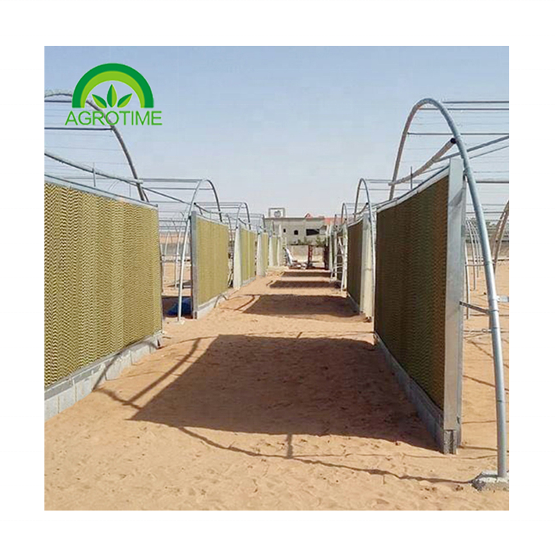Single-Span Greenhouses high quality greenhouse with Chinese greenhouse kit