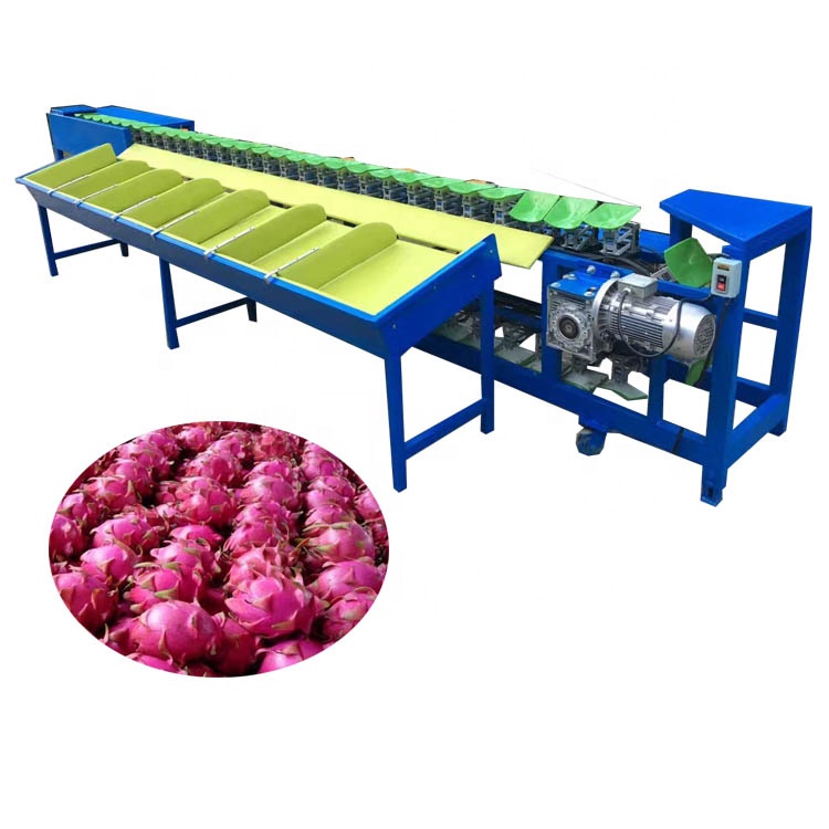 Industrial pitaya grading machine, machine for sorting pitaya, fruits pitaya grading and sorting machine for sale