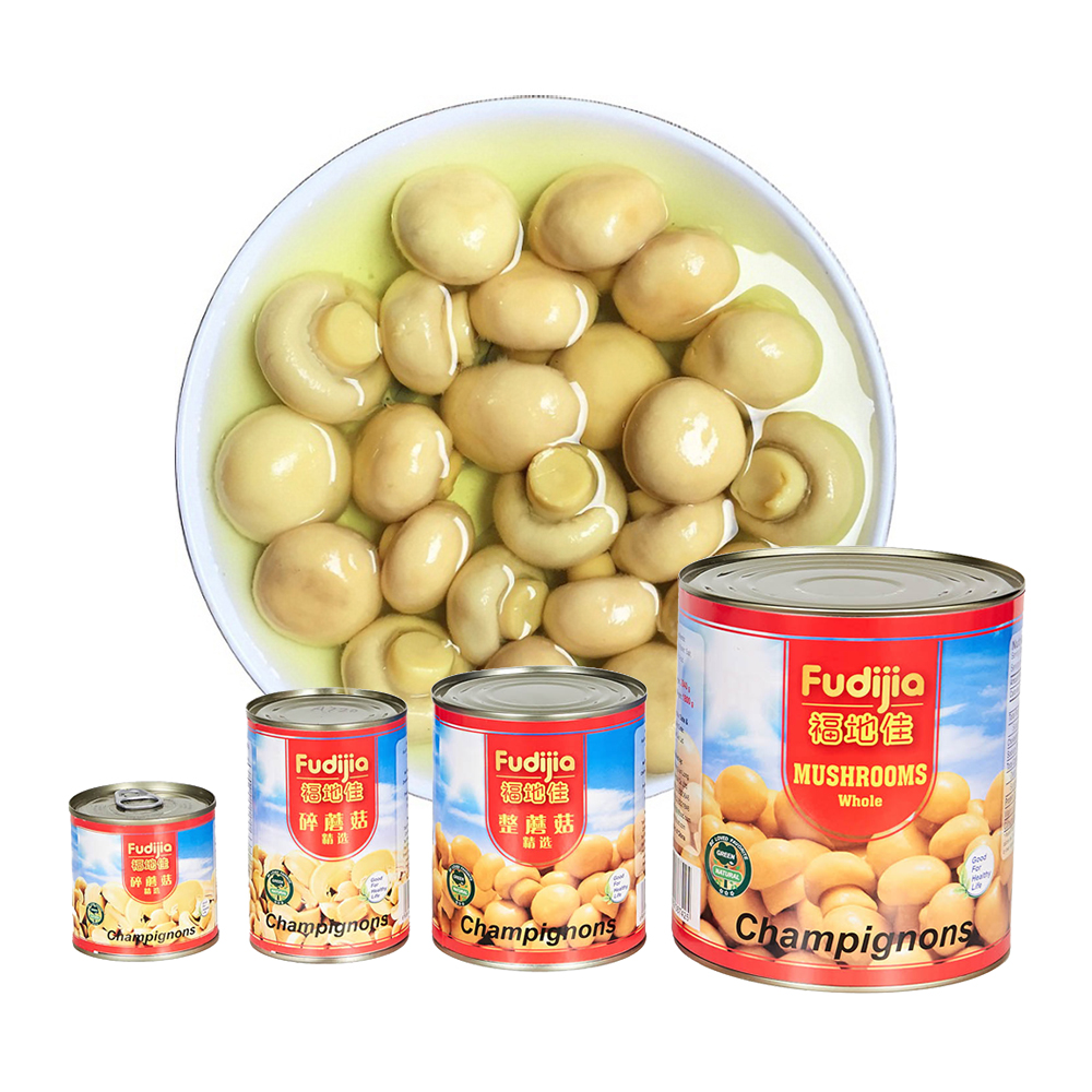 Top Grade Canned Mushroom Halal Canned Food Healthy Vegetable