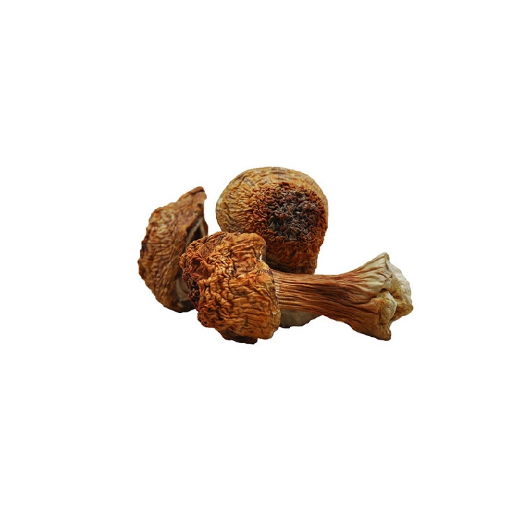Natural Goods China Organic Food Dried Whole Agaricus Blazei Mushroom Matsutake
