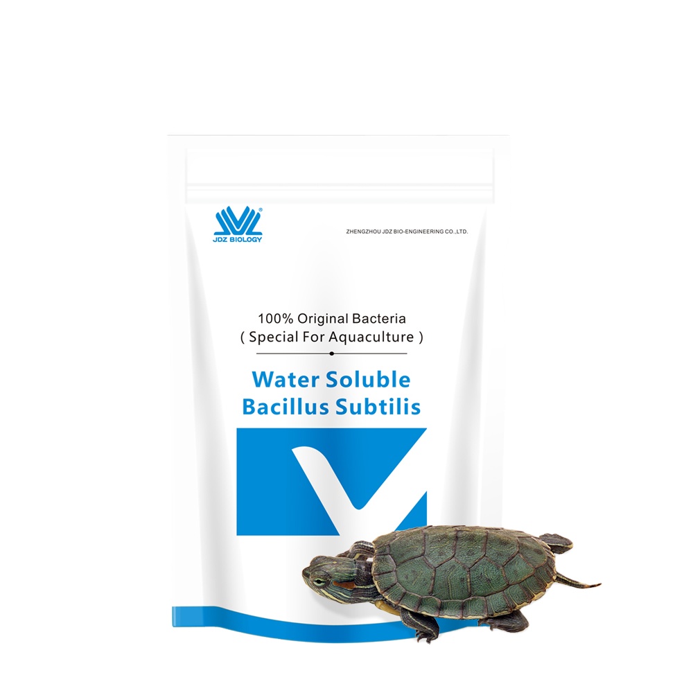 2021 New High-Performance Standard Parts Durable and Stable Performance Bacillus Subtilis Feed Aquaculture Water Treatment