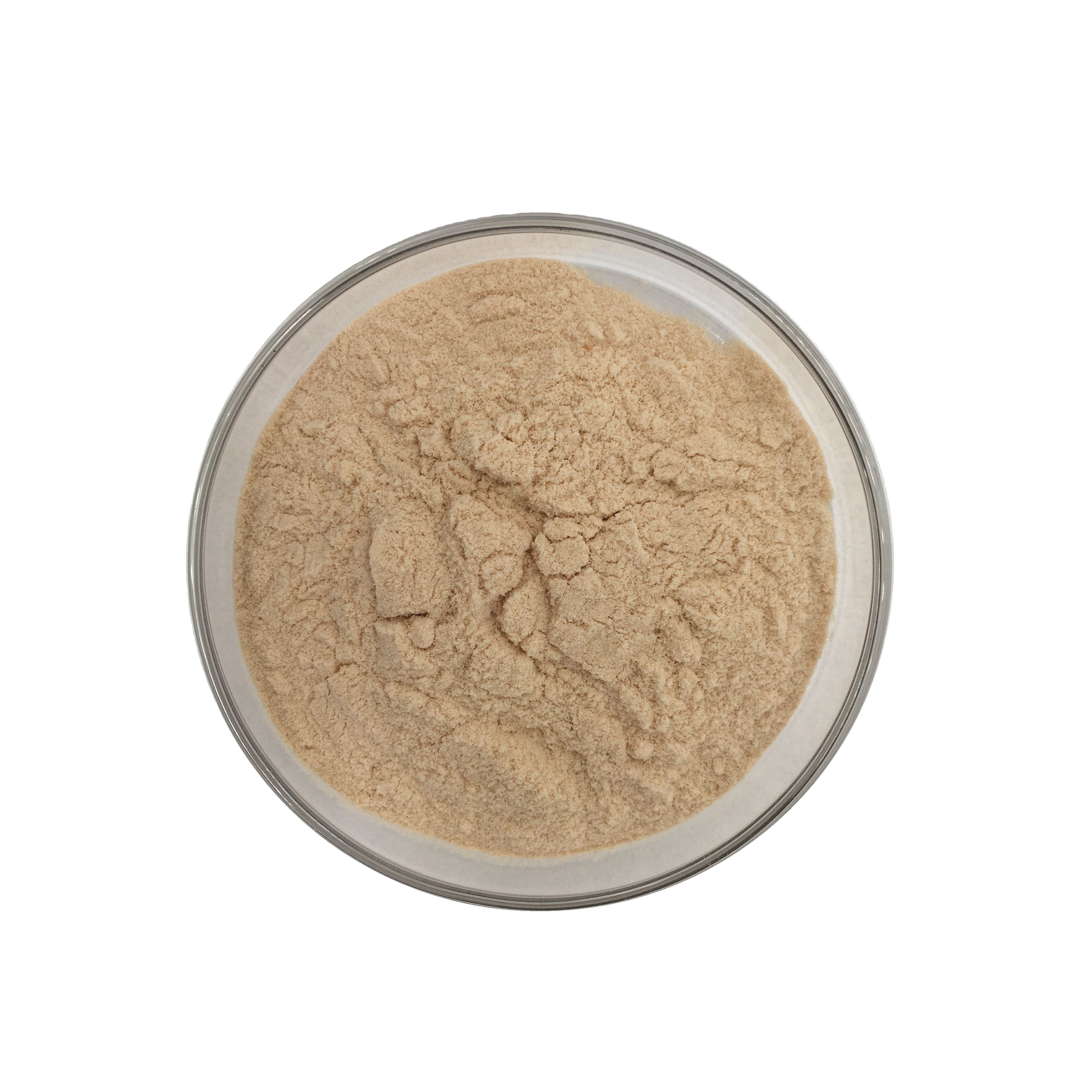 Pure Natural Tannic Acid Ellagic Acid Galla Chinensis Extract Tannic Acid powder