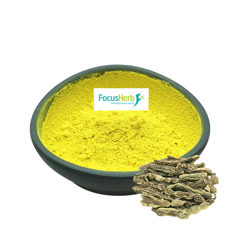FocusHerb Sophora Japonica экстракт порошок 98% Kaempferol дополнение