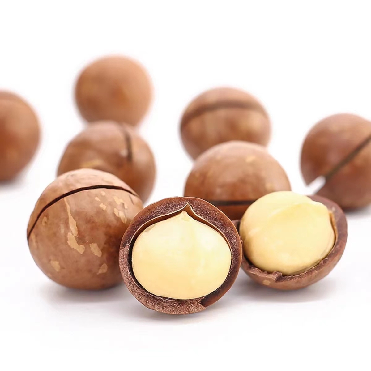 Hot Selling High Quality Cheap Price Roasted Macadamia Nuts From Vietnam