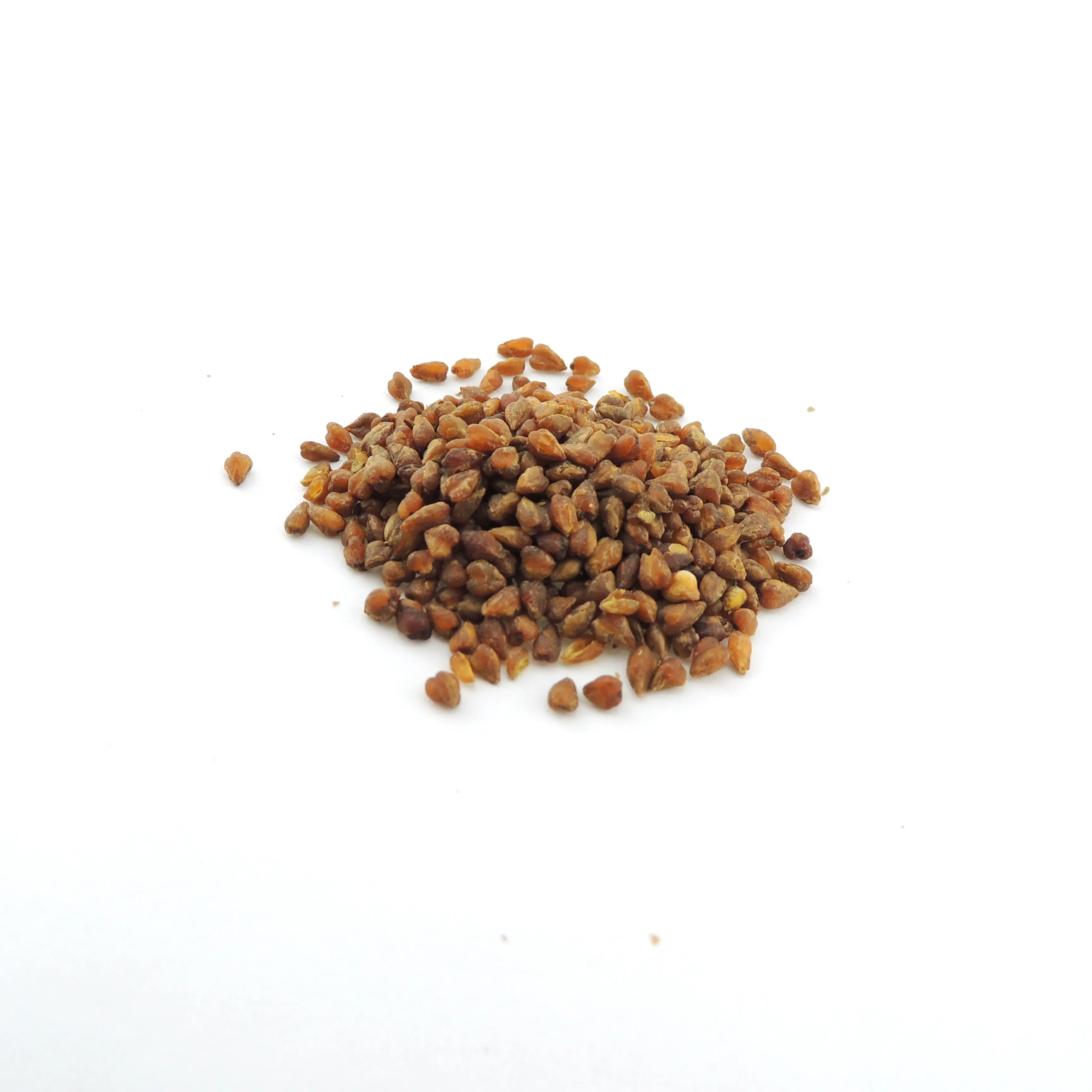 OEM small embryo shape organic tartary buckwheat anti diabetic tea Christmas gifts for diabetes good