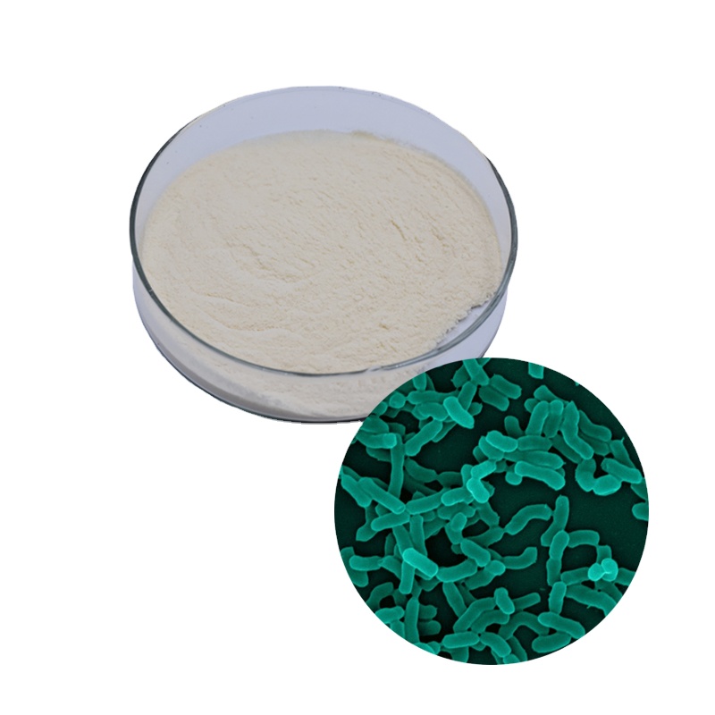 Pyson Bulk Probiotics Powder Lactobacillus Rhamnosus Adjusting Intestinal Function