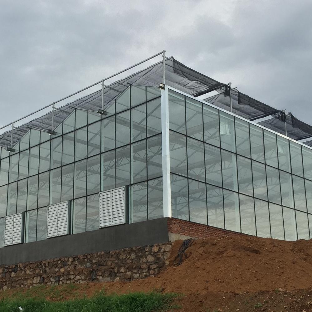 Complete glass agricultural greenhouse turnkey project with quick construction
