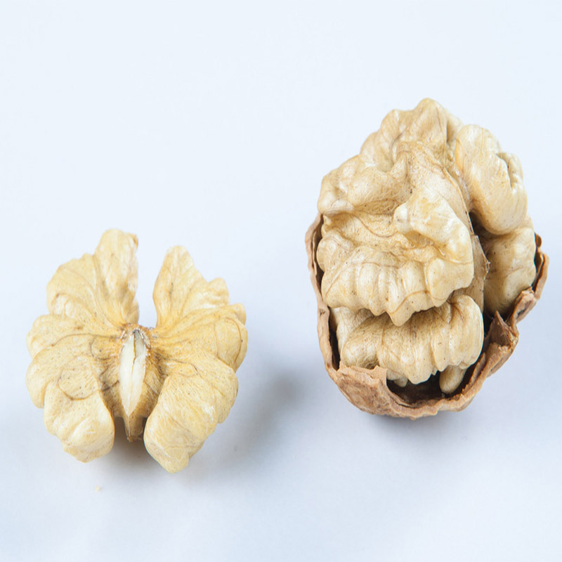 China 2021 new crop fresh whole nuts raw halves walnut kernel walnut kernels organic