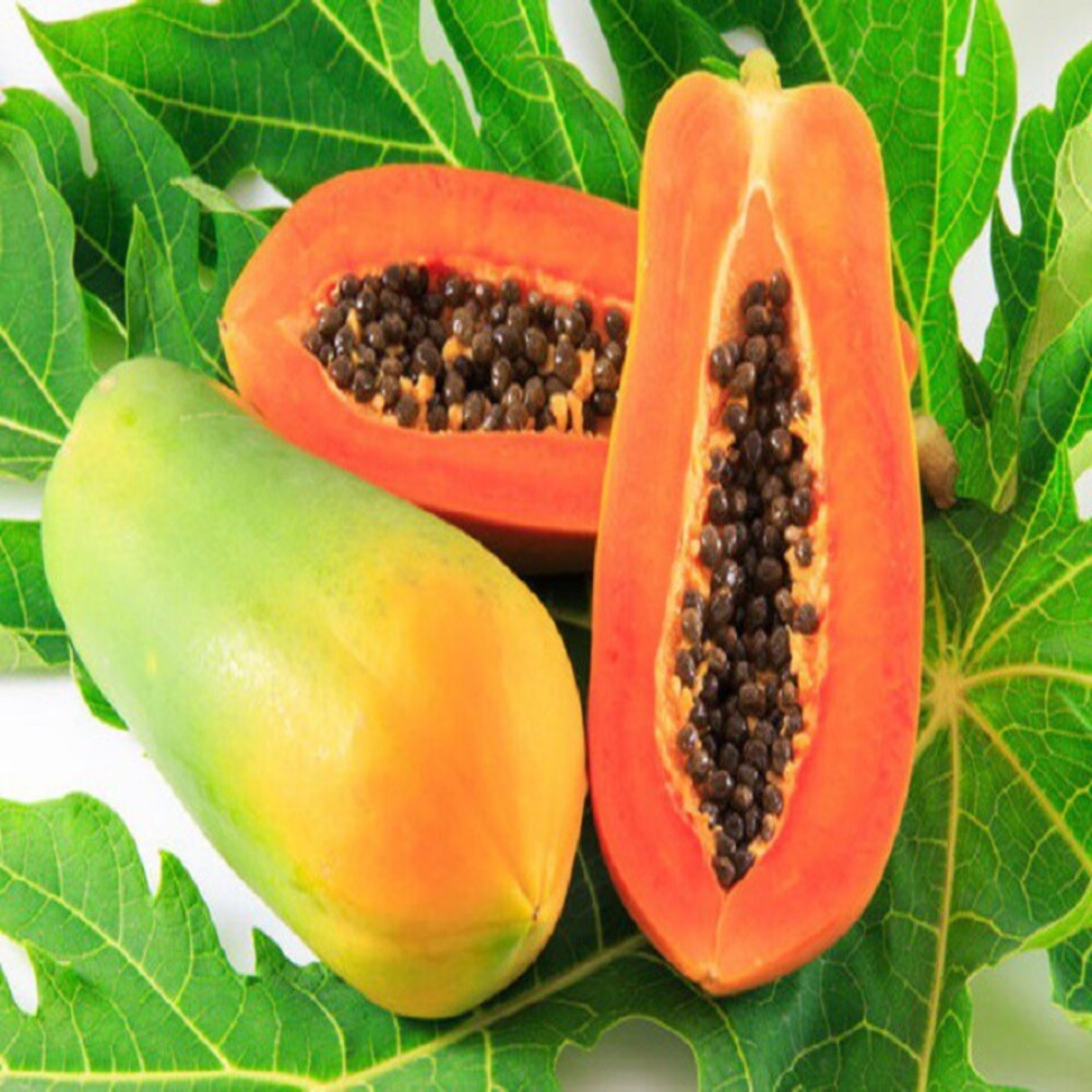 20 - 50% Maturity Loc Tai Brand Name Fresh Red Papaya Fruit Supplier From Vietnam Sweet Style Color Weight Natural