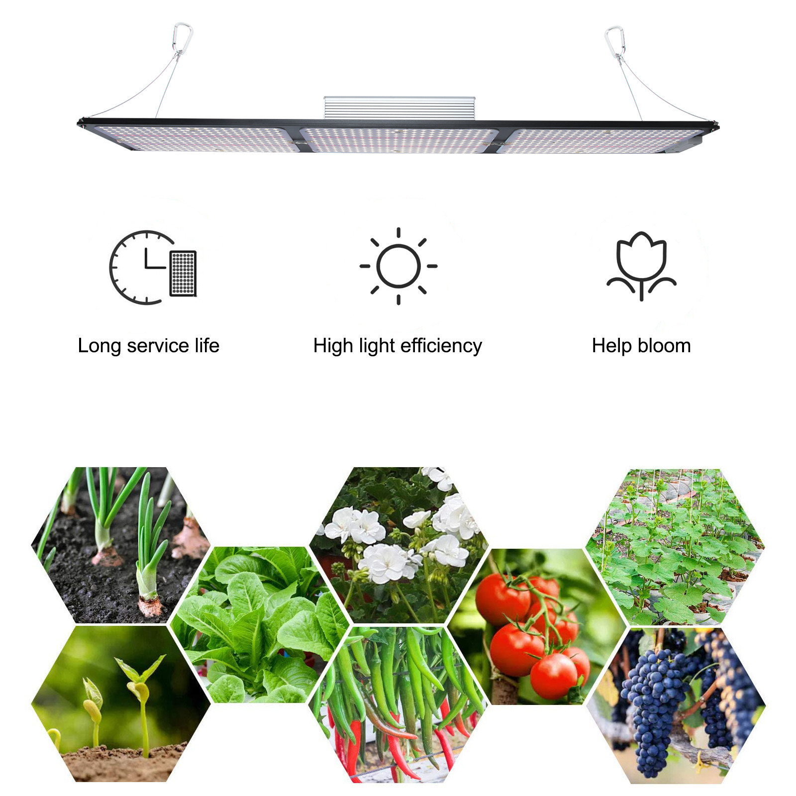 Surmountor Full Spectrum LM301B Waterproof IP65 Led Grow Lights for Indoor Plants