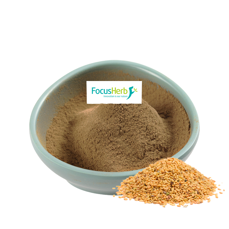 FocusHerb Fenugreek экстракт семян Saponins экстракт пажитника порошок