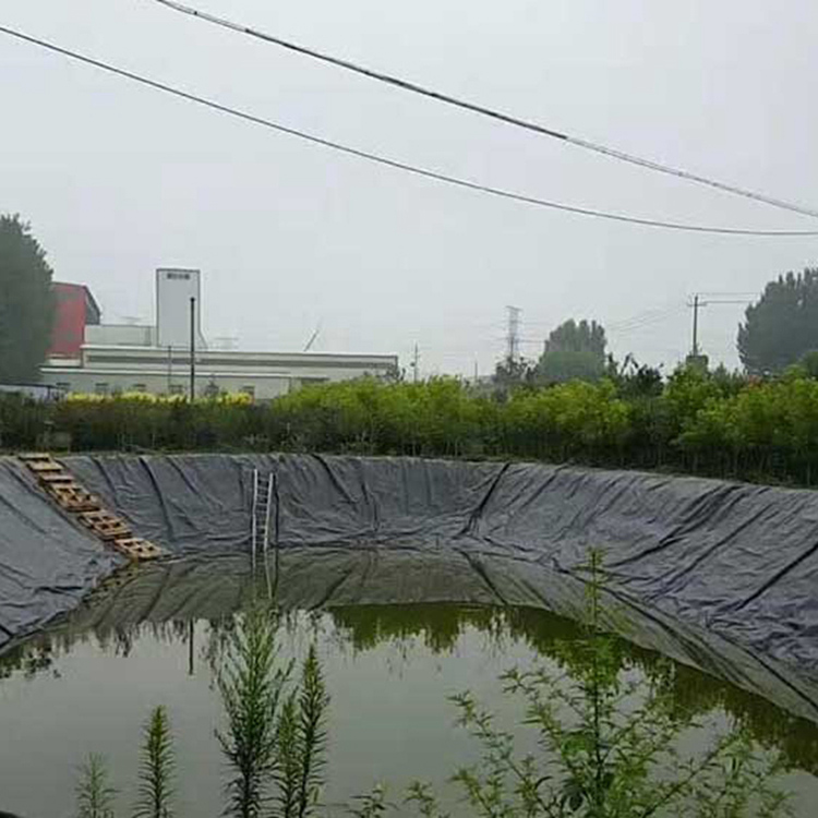 Геомембрана HDPE LDPE, подкладка для рыбного пруда, гидроизоляционная мембрана hdpe геомембрана