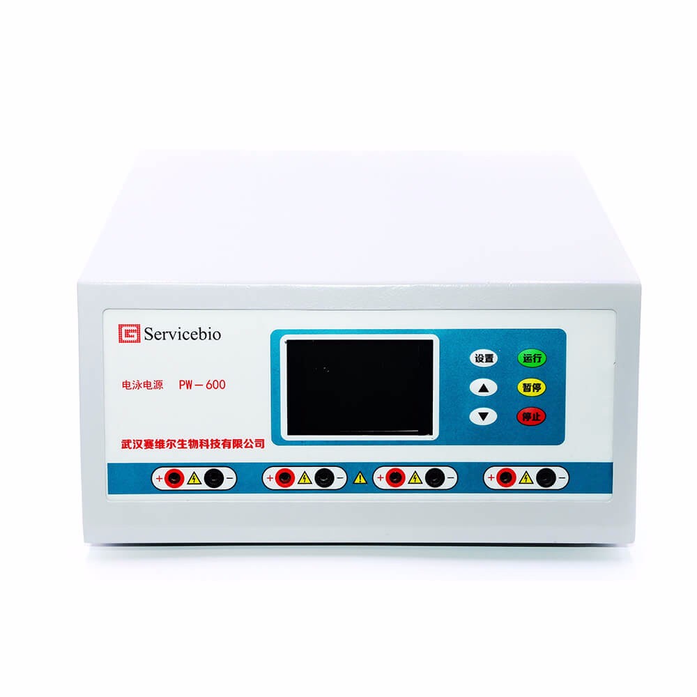 Servicebio Electrophoresis Power for Western Hybridization