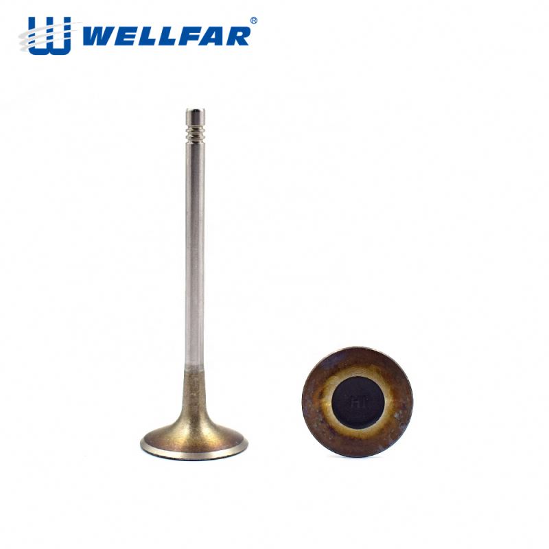 Wellfar Europea 21-4N высококачественные детали двигателя OE 06D 109 611H C7 впускные и выпускные клапаны