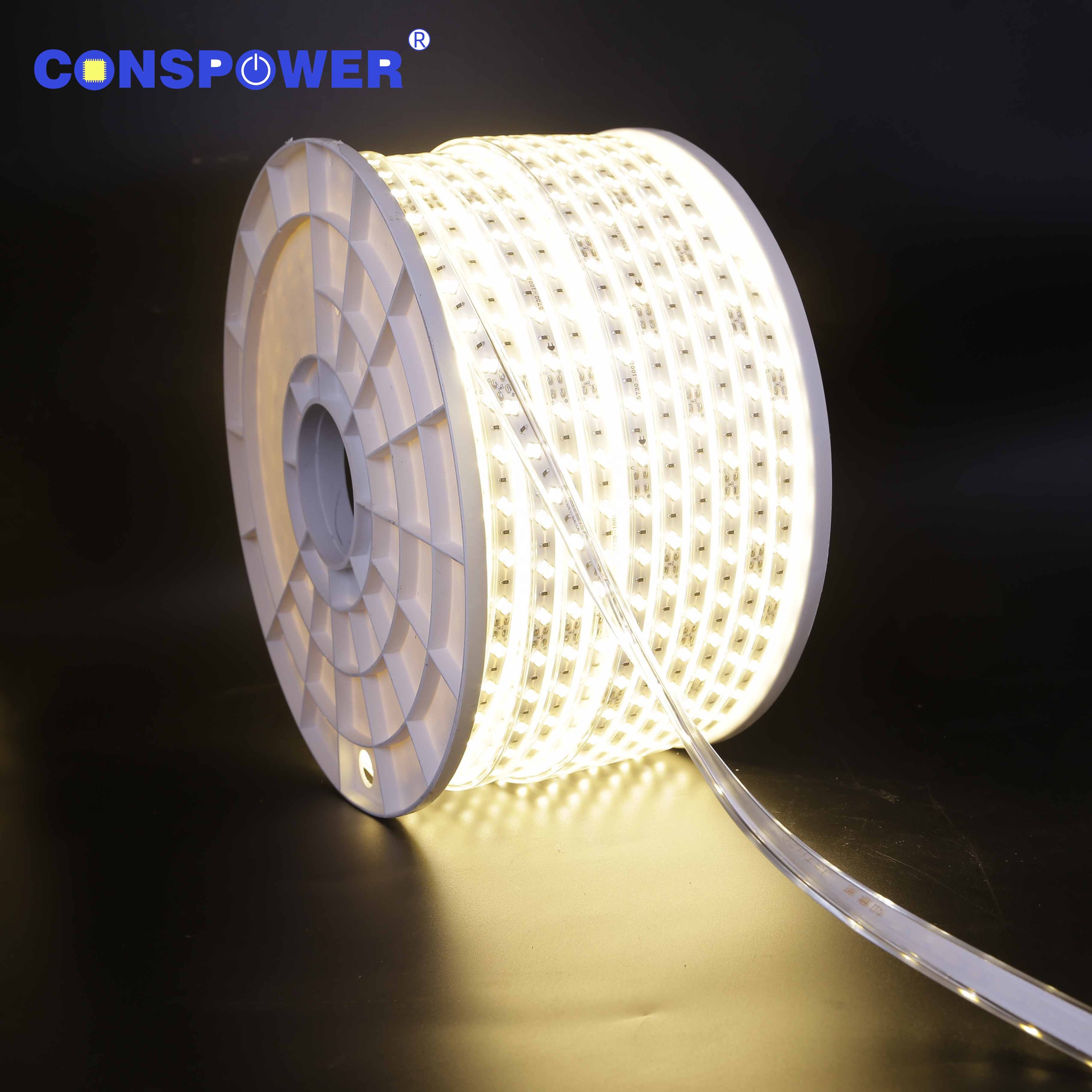 100 м/рулон 220V 10mmpcb SMD 2835 100LED/м двойной цепью беспроводные Светодиодные полосы высокого напряжения полосы