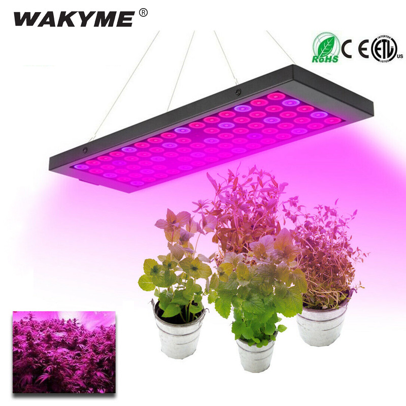 New 40w full spectrum uv ir led grow light hanger domestic plant growth lamp set for horticulture indor plants tomatoes