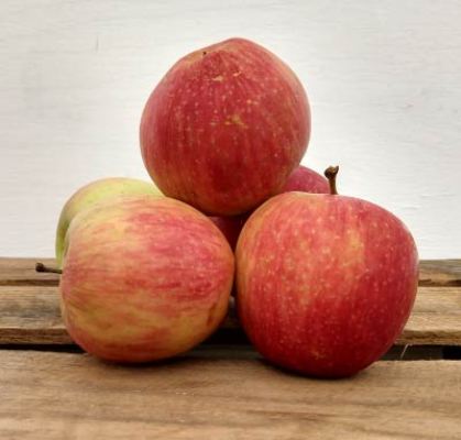 Свежие яблоки Fuji для продажи