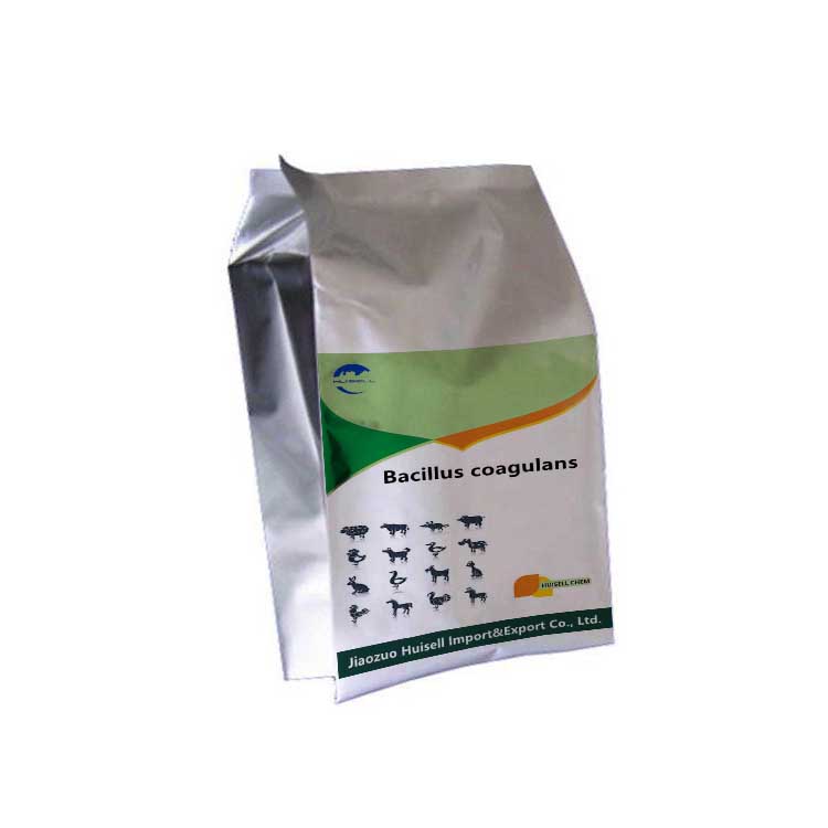 Bacillus Coagulans Feed Grade Probiotics