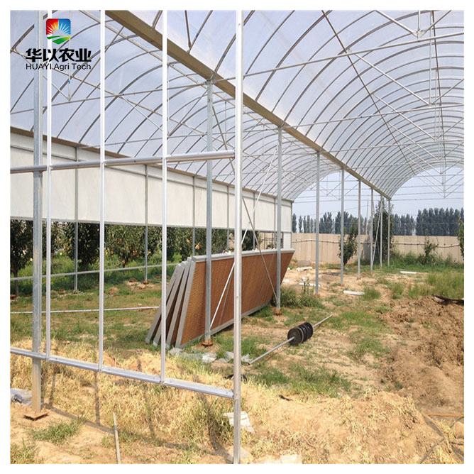 Теплица пластиковая пленка теплица многоразовая мембранная пленка сельскохозяйственная теплица