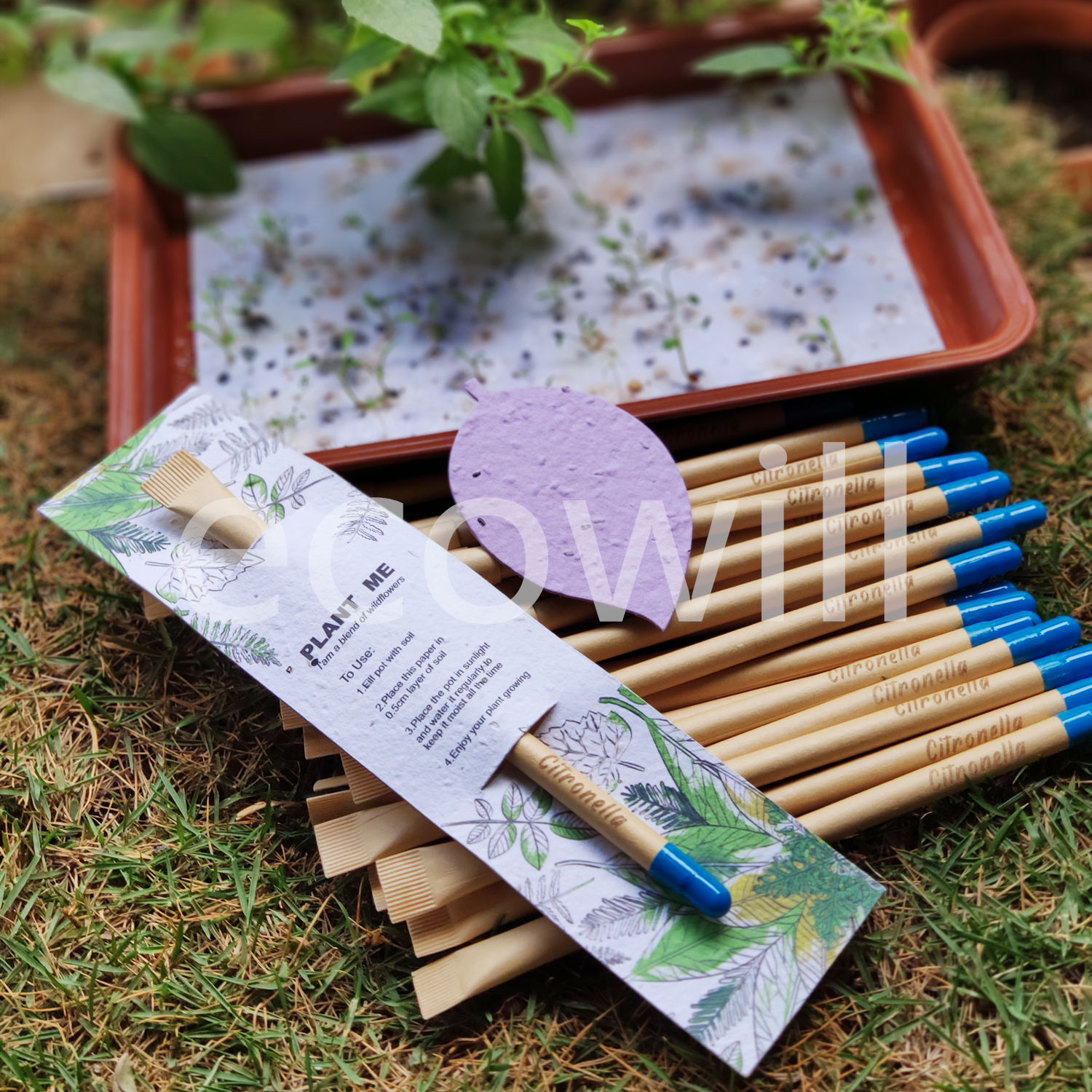 Plantable Citronella Seed Paper Back Card with Ball Pen