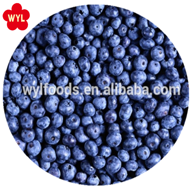 new sesson of High quality of frozen blueberry in bulk