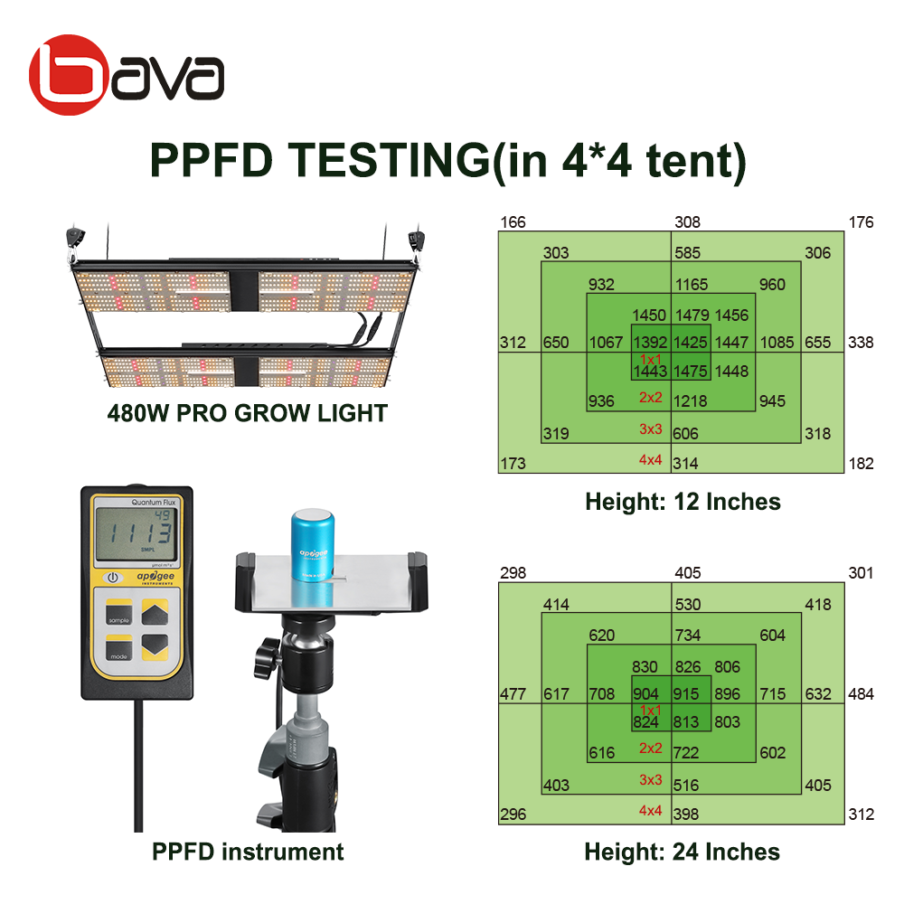 Guangdong Bava New Desgin 480W Samsung Lm301H White Red UV IR Quantam Lettuce Veg bloom Led Growing Lights Greenhouse