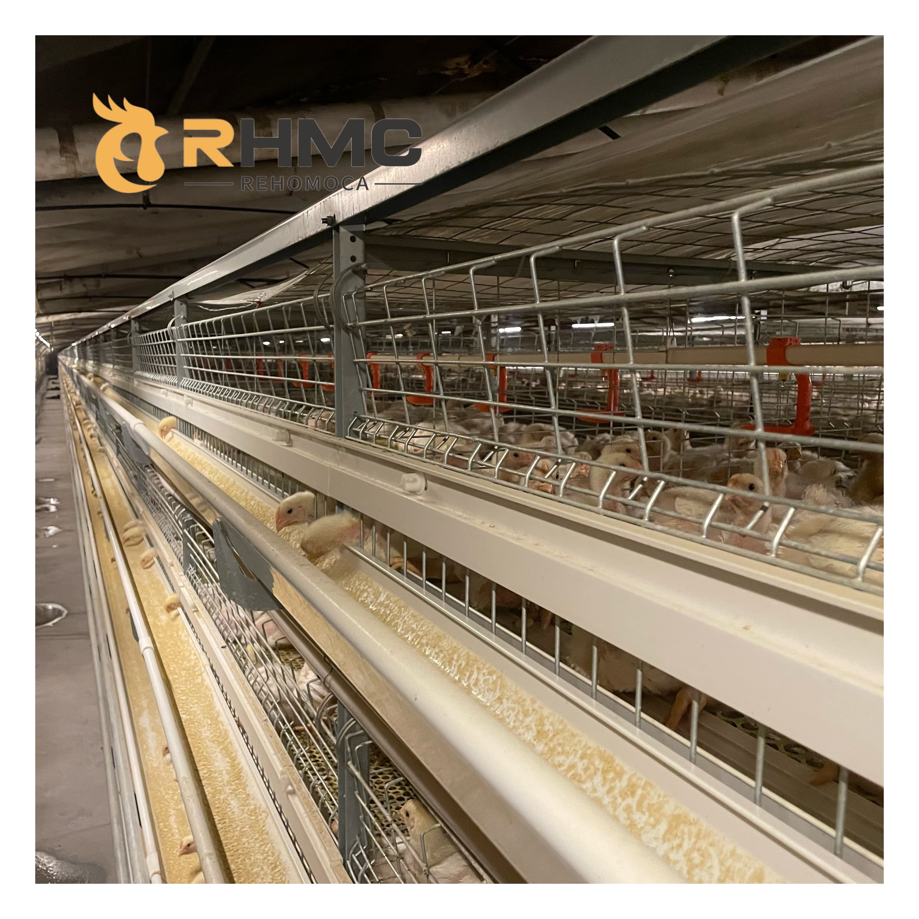 RHMC Supplier Poultry drinkers Automatic Broiler Chicken Cage Water Drinking System