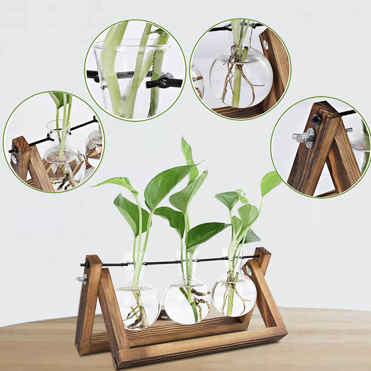 Hot Glass Planter Propagation Station Desktop Plant Terrarium with Wooden Glass Test Tube Flower Bud Vase for Office Decor