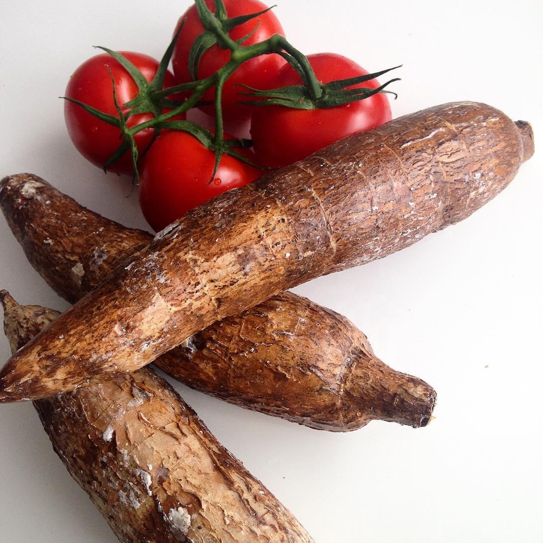 South Africa Fresh Cassava