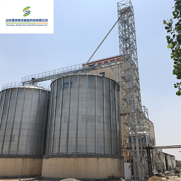 Brewery Granary Flat Bottom Grain Silo for Wheat Farm
