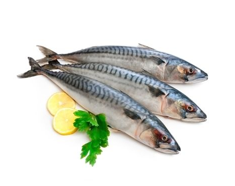 Лучшая цена, оптовая продажа, рыба, замороженная Тихоокеанская скумбрия, экспортеры