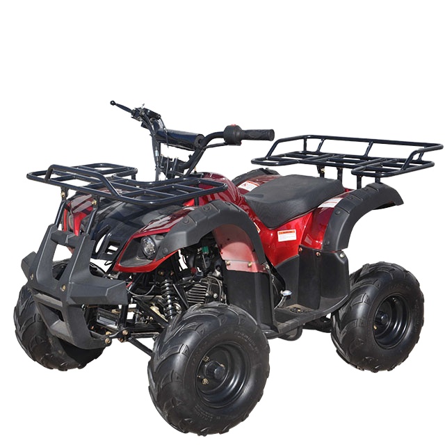 2021 торговли пикового/детскй 4-колесный quad Дети велосипед тележка пляжа ATV125cc