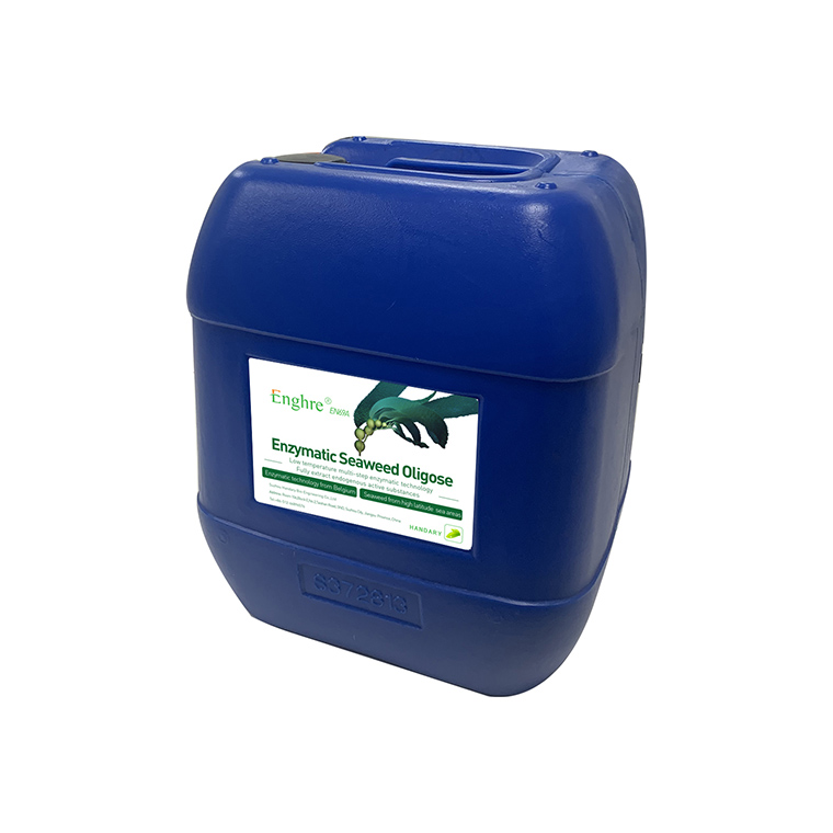 Liquid enzymatic seaweed oligosaccharide fertilizer natural organic fertilizer